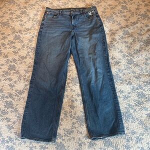 American Eagle x Maddie/Kenzie High-Rise Relaxed Straight Leg Jean Size 10